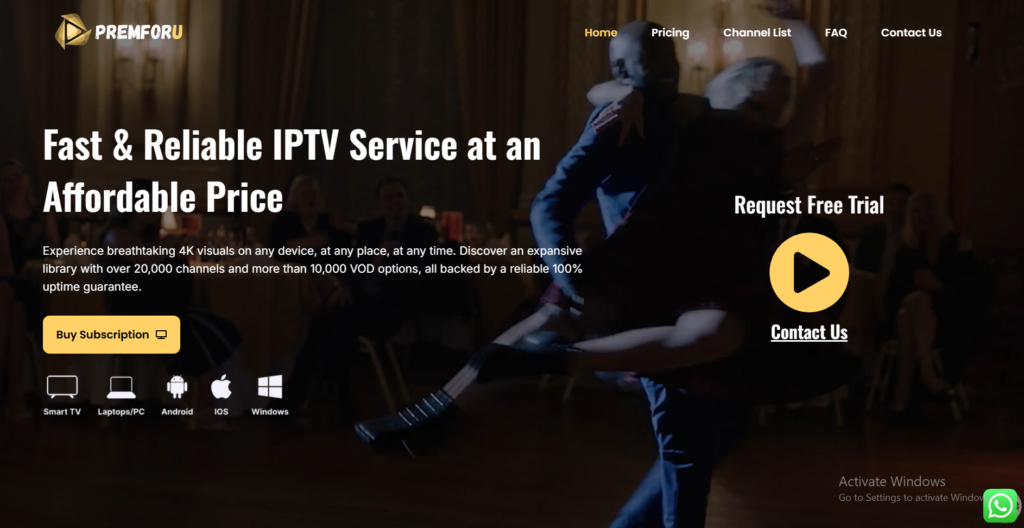 US IPTV in 2025